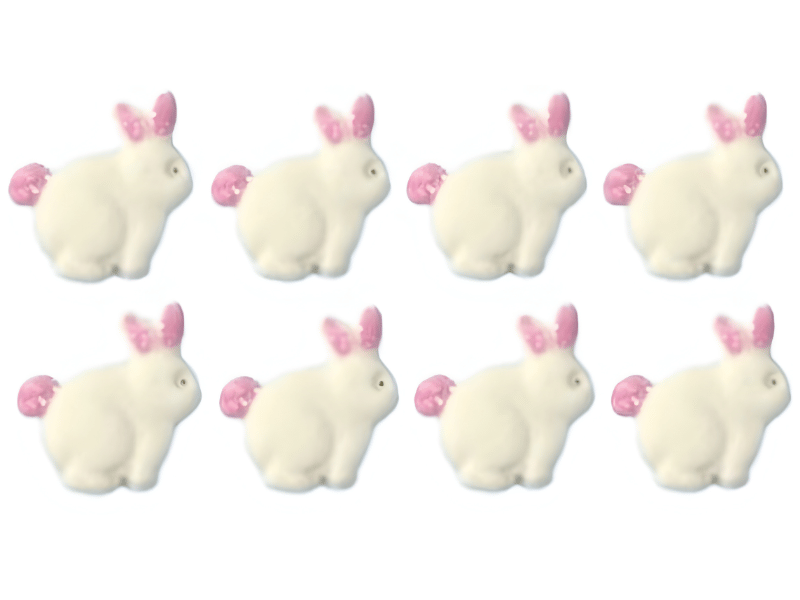 Biscuit Comestível Coelho Perfil - Jady