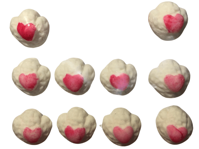 Biscuit Comestível Patinha Coelho da Páscoa c/ 10 unidades - Meninas do Açúcar
