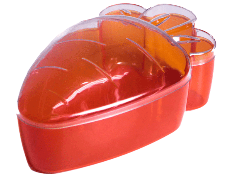 Cake Box Cenoura Bicolor 750ml - BlueStar