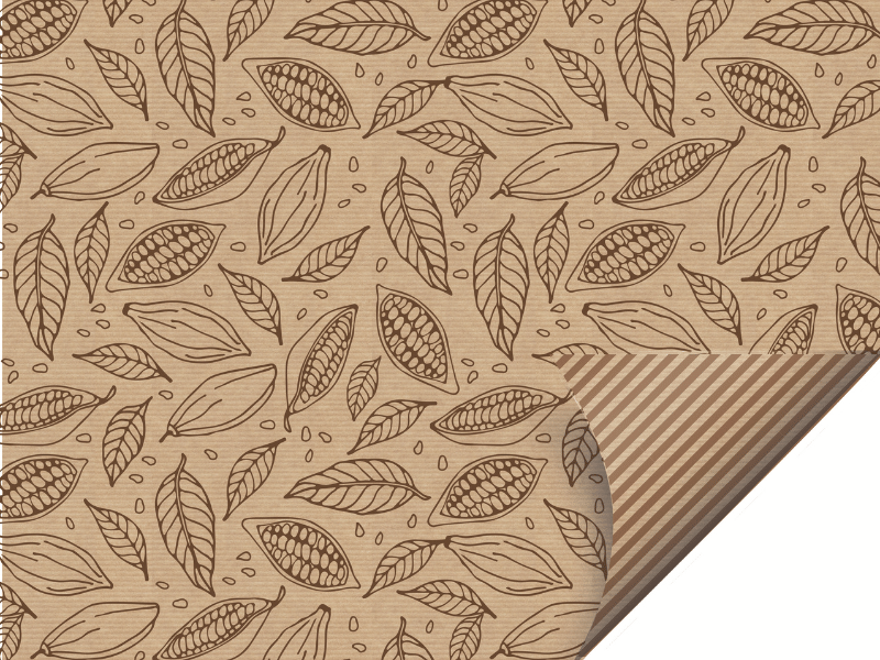 Folha Papel Kraft Cacau 69x89 cm c/ 10 unidades - Cromus
