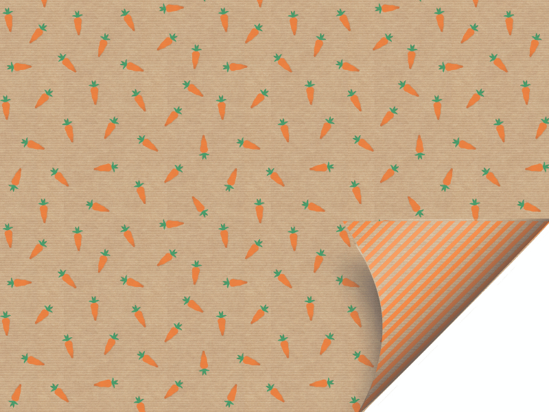 Folha Papel Kraft Cenoura 69x89 cm c/ 10 unidades - Cromus