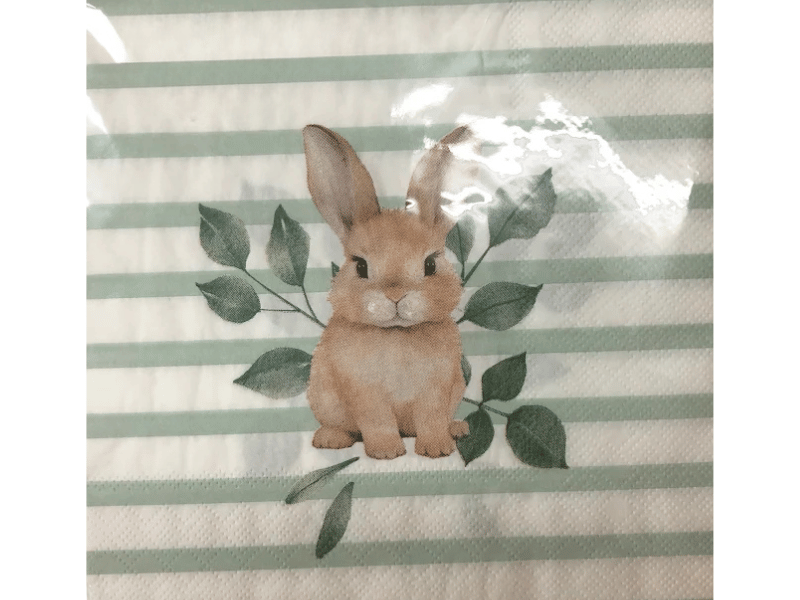 Guardanapo de Papel Colhei Listrado Colorido c/ 20 unidades - Cromus