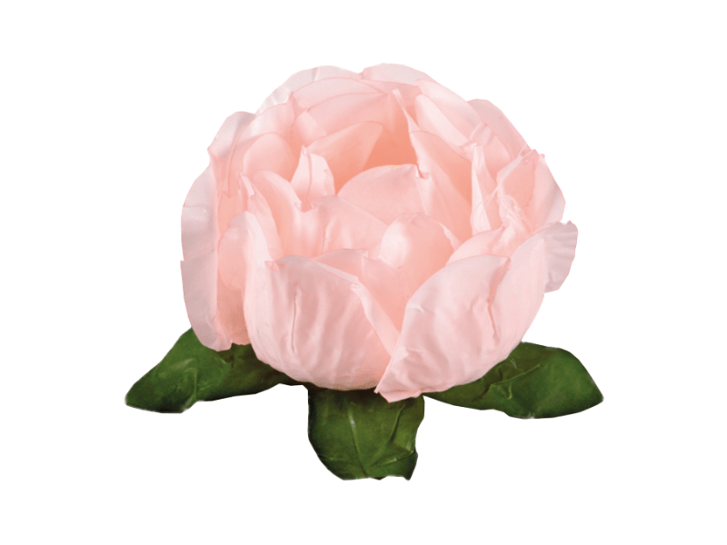 Forminha para Doces Bela Cha c/ 30 unidades - Decora Doces
