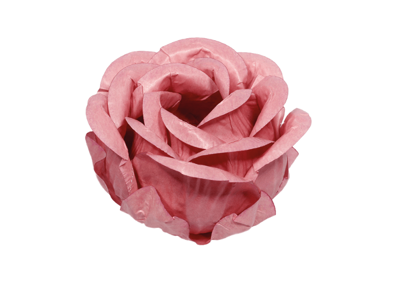 Forminha para Doces Magnólia Rosa Seco c/ 30 unidades - Decora Doces