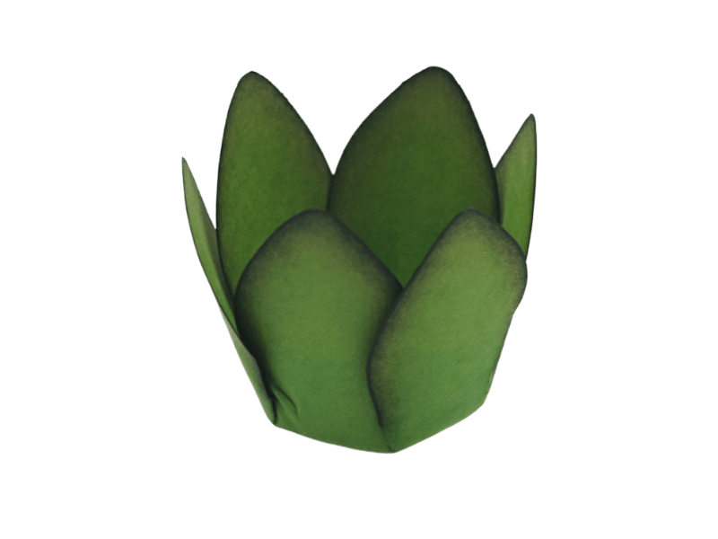 Forminha para Doces Mônaco Verde Pistache c/ 50 unidades - Decora Doces