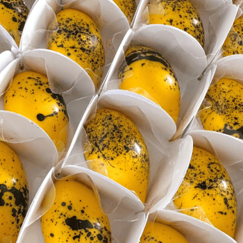 Curso Confeitaria Gourmet - Especial Doces Finos 30/04/26 09h às 17h30