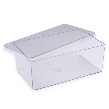 Caixa Cake Box Retangular 12x20x8cm 1,5L - BlueStar 