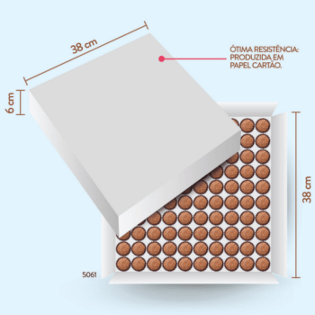 Caixa para Transporte de Doces e Salgados 38x38x6 cm - Ultrafest