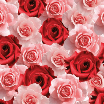 Saco Perolado para Presente Flores Vermelhas 10x14 cm c/ 50 unidades - Cromus 