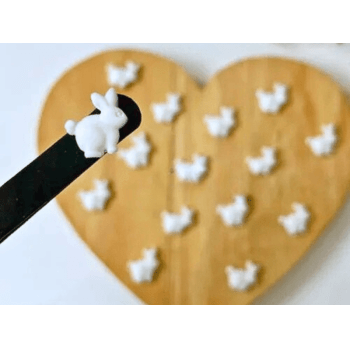 Biscuit Comestível Coelho da Páscoa c/ 12 unidades - Meninas do Açúcar