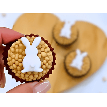 Biscuit Comestível Coelho da Páscoa Feliz c/ 8 unidades - Meninas do Açúcar
