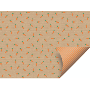 Folha Papel Kraft Cenoura 69x89 cm c/ 10 unidades - Cromus
