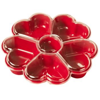 Fondue Box Flor de Corações Vermelho Marsala 24,4x25,3x5,7 cm - BlueStar