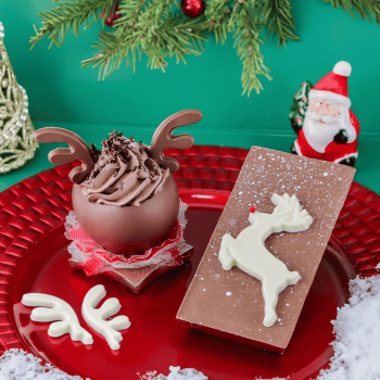 Forma de Acetato Rena Natalina N10598 - Bwb