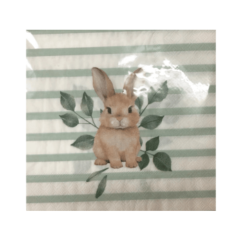 Guardanapo de Papel Colhei Listrado Colorido c/ 20 unidades - Cromus