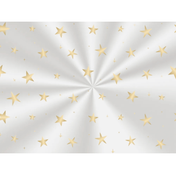 Saco Transparente Elite Brilhar Ouro 11x19,5 cm c/25 unidades - Cromus