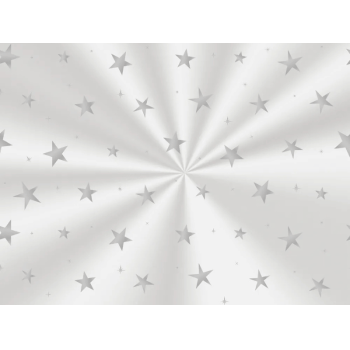 Saco Transparente Elite Brilhar Prata 11x19,5 cm c/25 unidades - Cromus