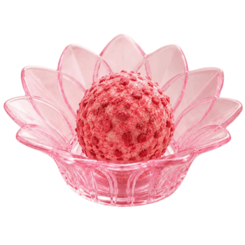 Forminha Flor de Lótus Rosa Transparente c/ 30 unidades - Mirandinha