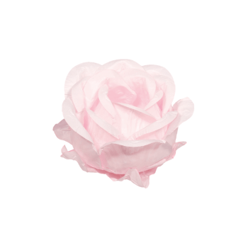 Forminha para Doces Magnólia Rosa Bebê c/ 30 unidades - Decora Doces