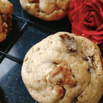 Curso Festival de Cookies 19/02/26 13h30 às 17h